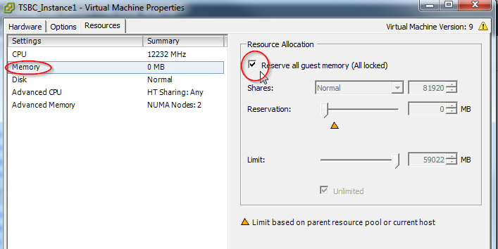 vmware mem