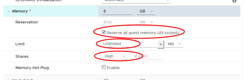 vmware web memory