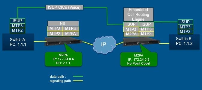 Diagram M2PA TBWiki